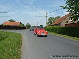 Zandlemig Vlaanderen